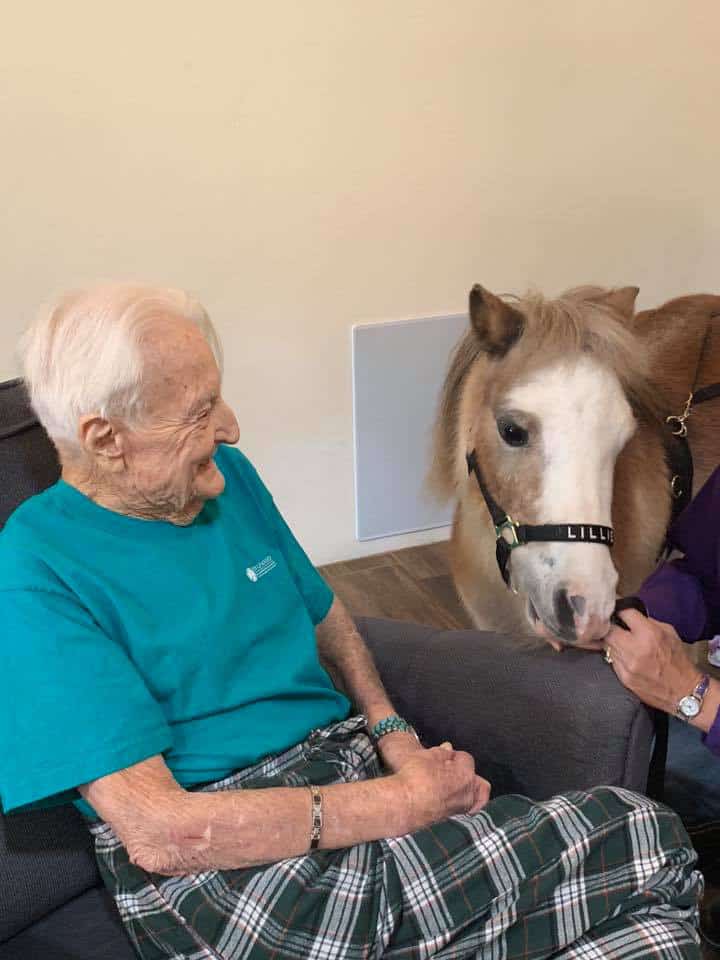 Boosting Senior Life Quality with Diverse Activities at Aspen Care Homes